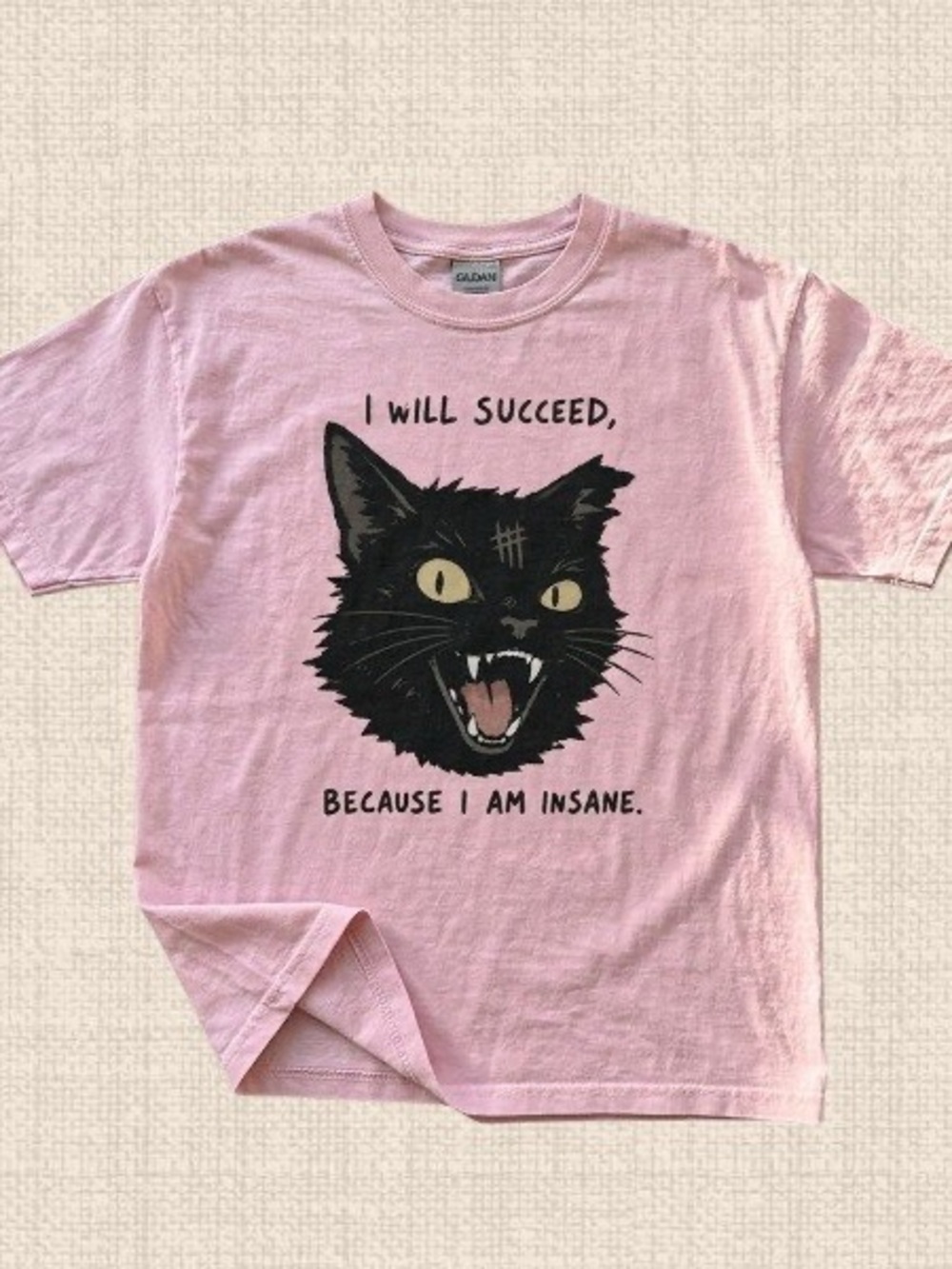 Gildan Pink Tee with Black Cat Graphic, “I will succeed because I am insane” tee